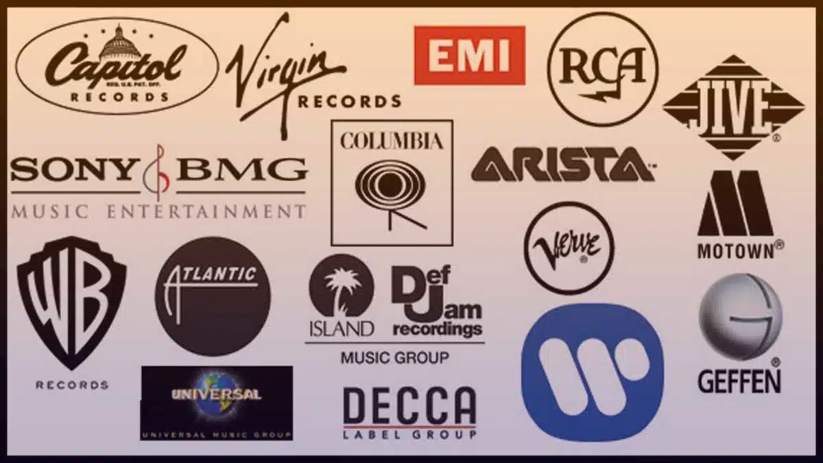La importancia de los fans para los grupos discográfica