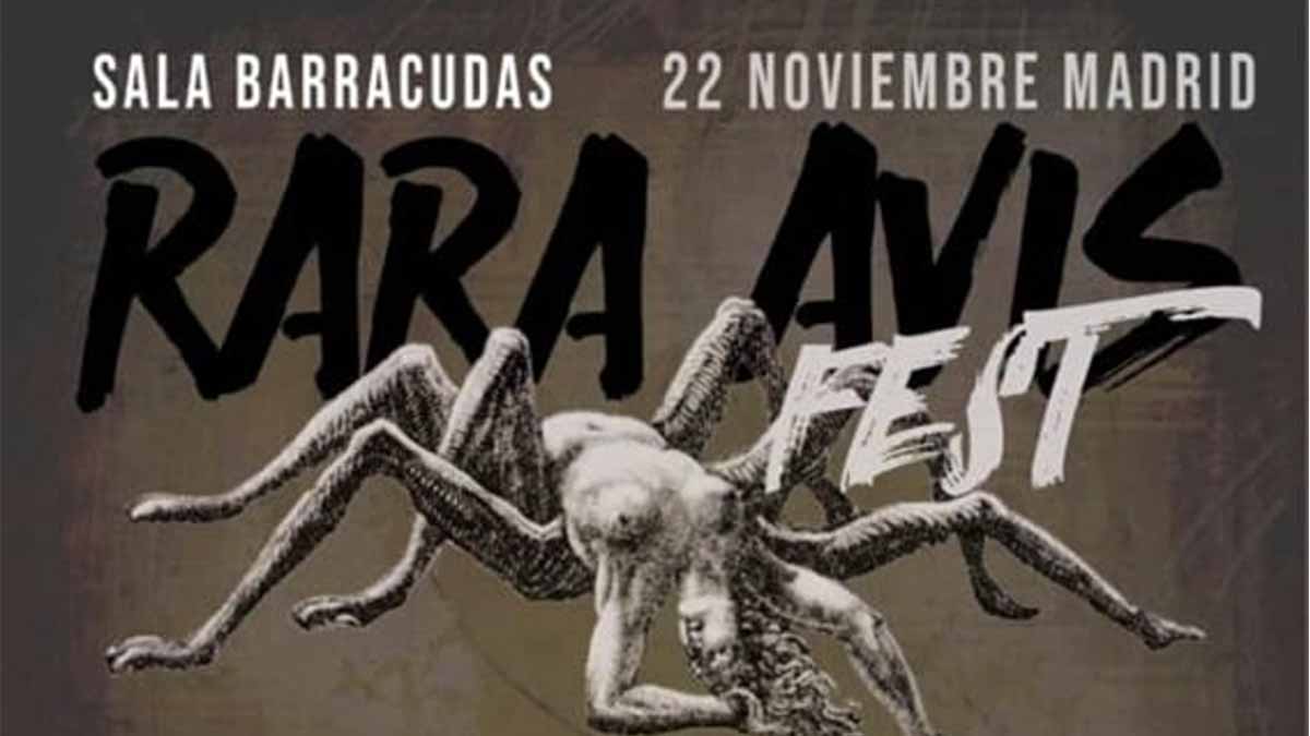 rara avis fest