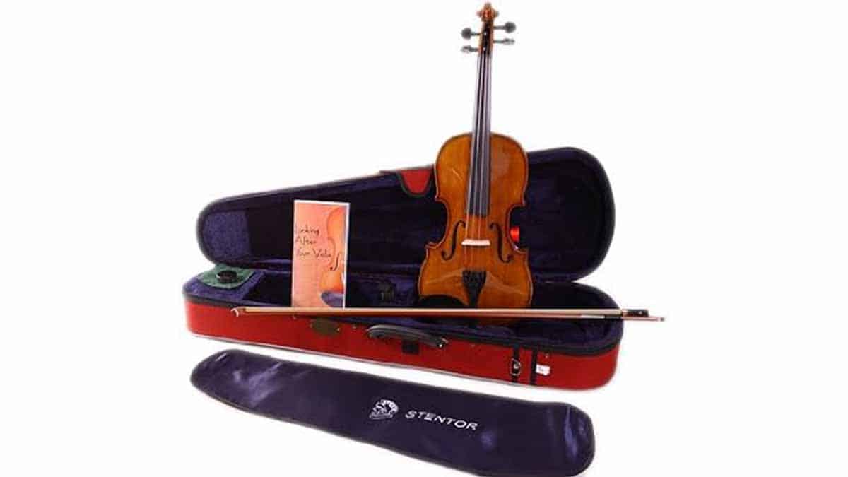 Violín Stentor Student II 4/4: Review, Pros y Contras Violín Stentor Student II