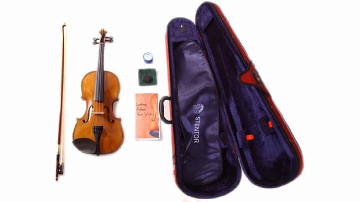 Violín Stentor Student II