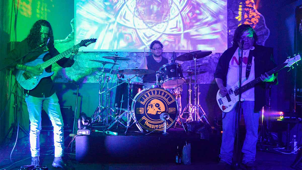 Insekto: ritmos latinos y rock crudo insekto