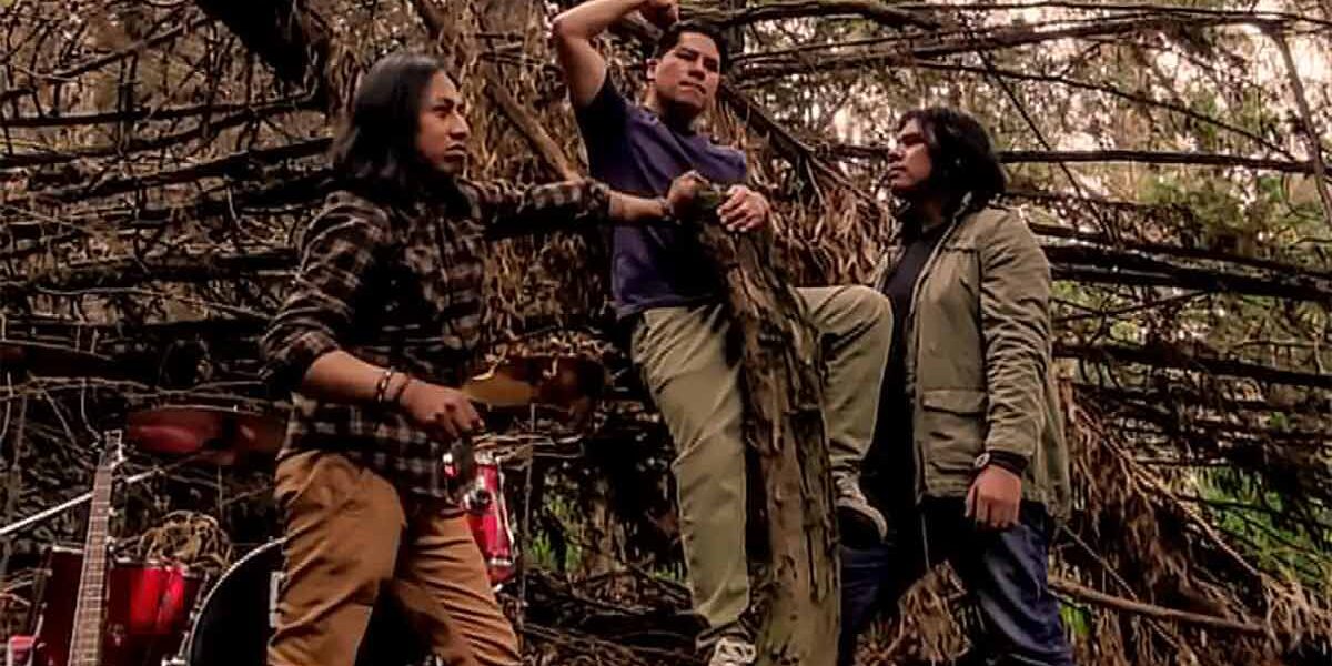 Paciente 101: protesta, Grunge y Hard Rock paciente 101