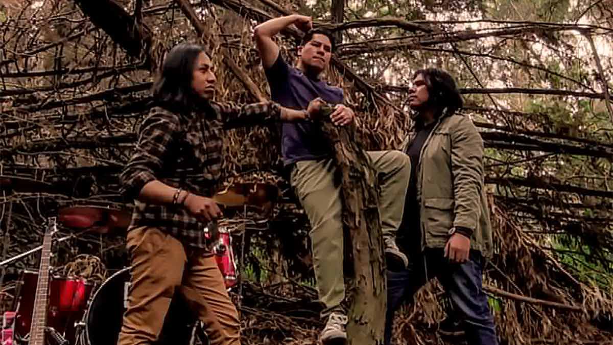 Paciente 101: protesta, Grunge y Hard Rock paciente 101